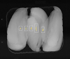 Contamination detection eguide from METTLER TOLEDO