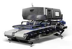ADR X for potato strips from Key Technology